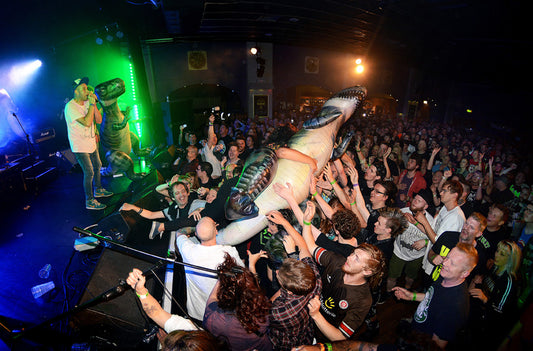WONKFEST VIDEO EXCLUSIVE!