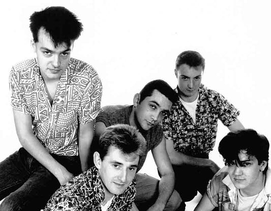 HIGSONS PUT THE PUNK BACK INTO FUNK!