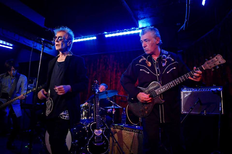 SHARKS ON FILM RAMPAGE!