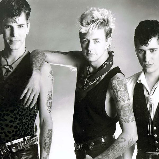 STRAY CATS STRUT BACK!
