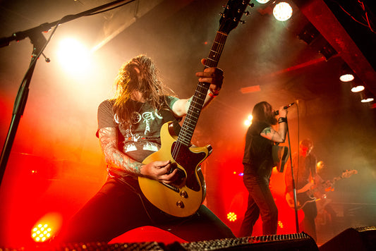 SPIDERS AND THE FLY!